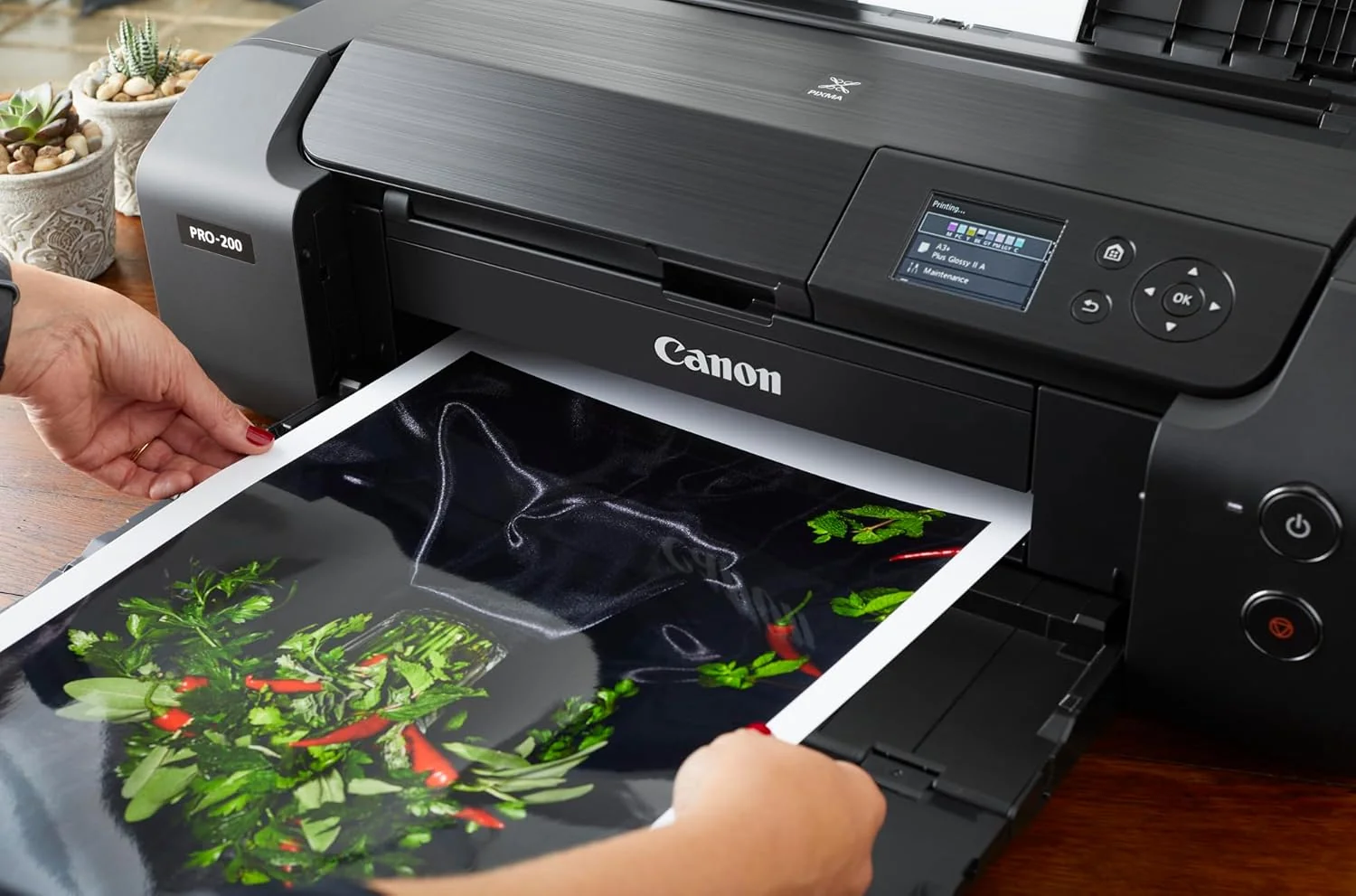 Papel Fotográfico Canon Photo Paper Plus PP-201 A3 Alto-Brilho 260g/m² (20 folhas) - Imagem 4