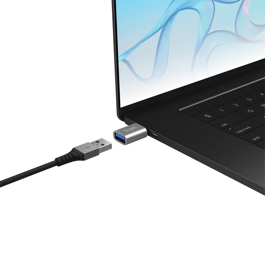 Adaptador Trust Calyx USB-C para USB-A Pack de 2 Unidades Prateado - Imagem 2
