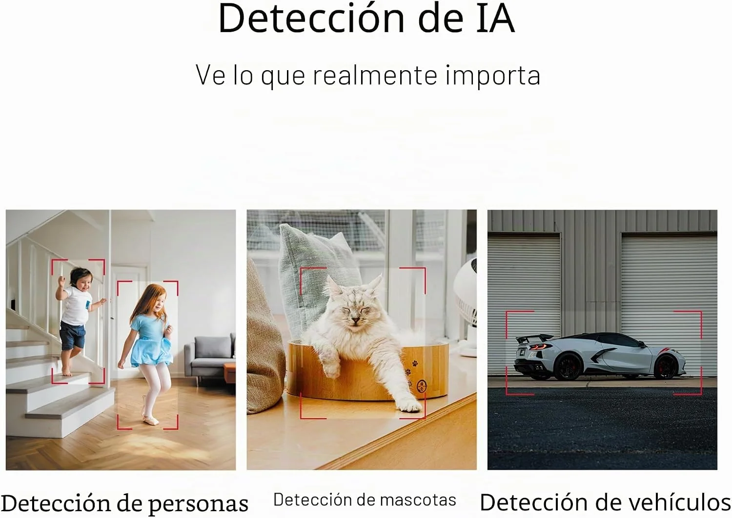 Câmara Wi-Fi de Segurança Mercusys Pan/Tilt AI Home Security Branca - Imagem 7
