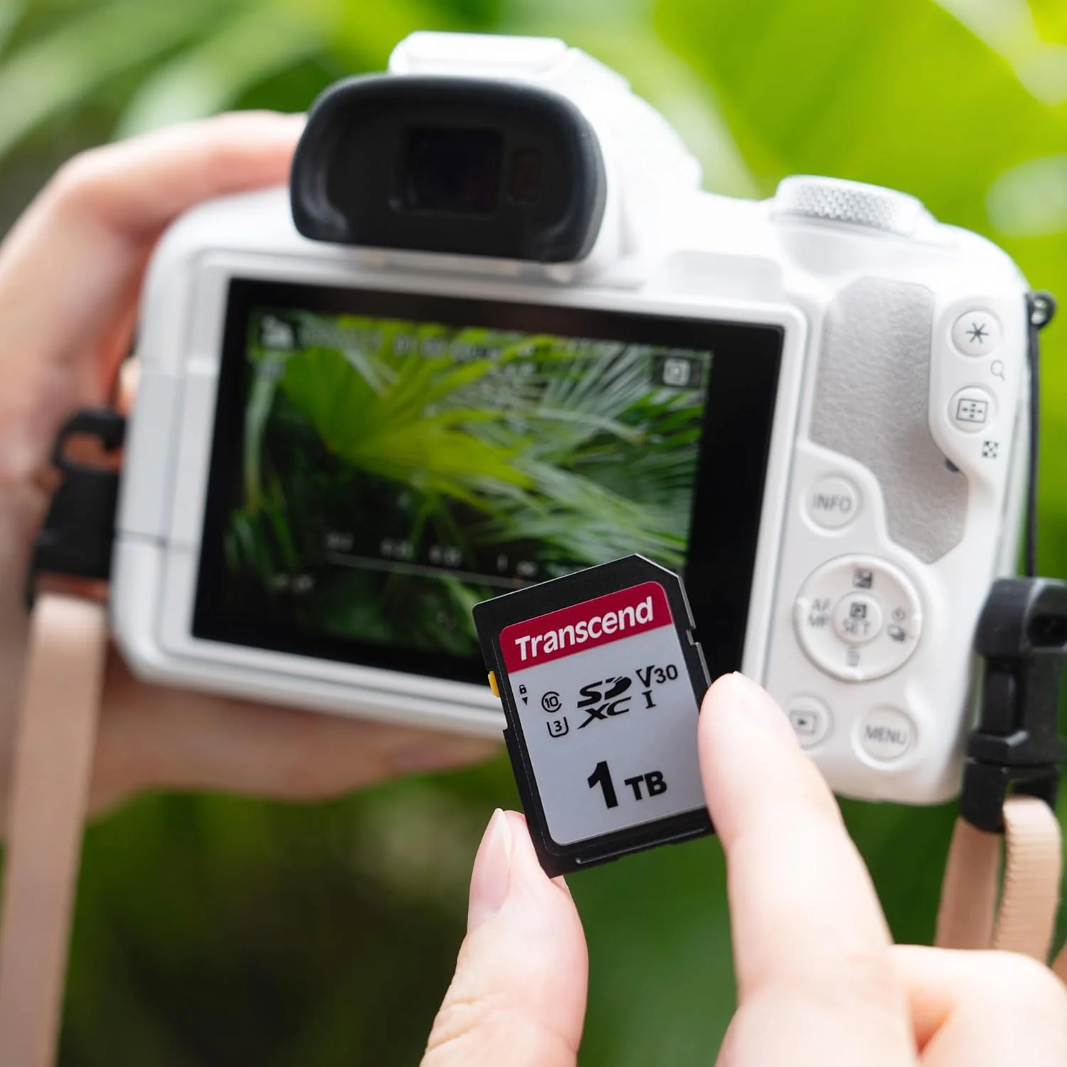 Cartão de memória SD Transcend 300S 4GB Class 10 - Imagem 5