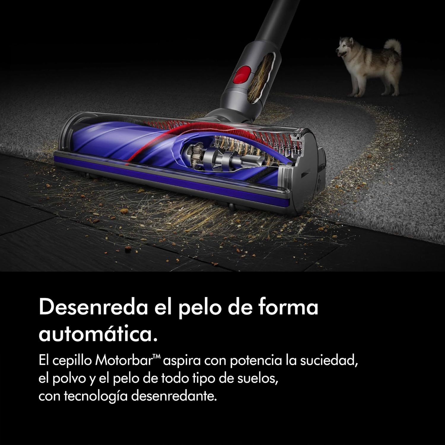 Aspirador Vertical Dyson V8 Absolute 115W Autonomia 40 Minutos Prateado/Amarelo - Imagem 3