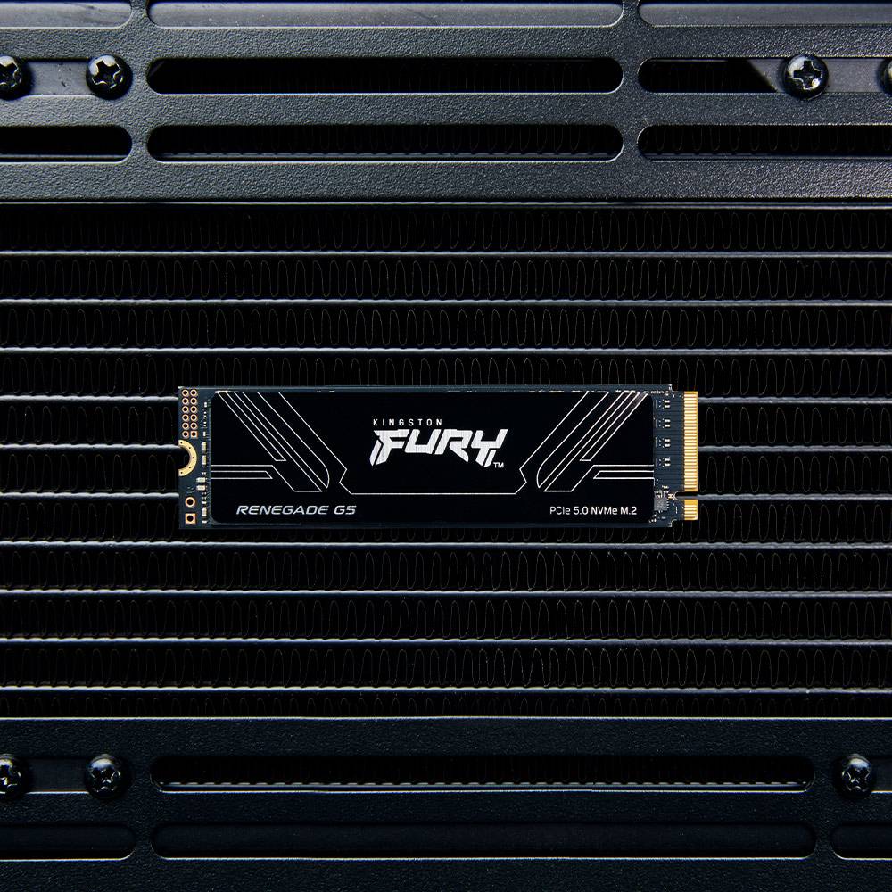 Disco SSD Kingston FURY Renegade G5 1TB/ M.2 2280 PCIe Gen5/ Full Capacity - Imagem 3