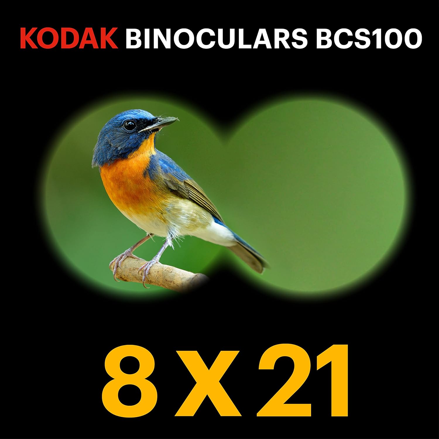Binóculos para Criança Kodak BCS100 Zoom 8x Lente 21mm Azul - Imagem 2