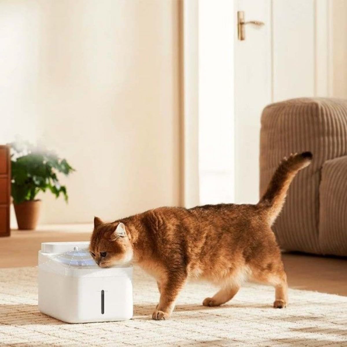 Fonte de Água Inteligente Xiaomi Smart Pet Fountain 2 3L Bateria 4000mAh 100 Dias Autonomia App Branco - Imagem 3