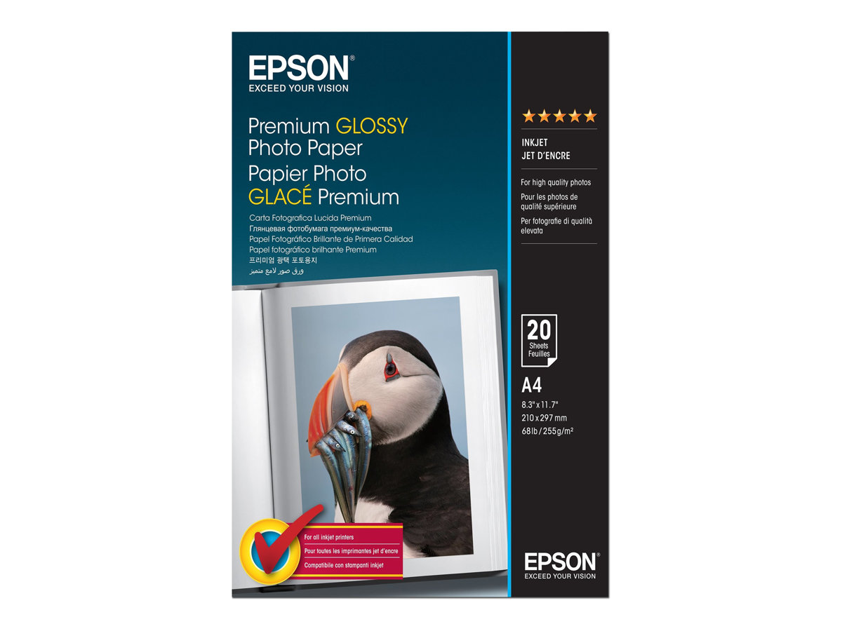 Papel Fotográfico Epson Premium Brilhante A4 255g 20 Folhas - Imagem 1