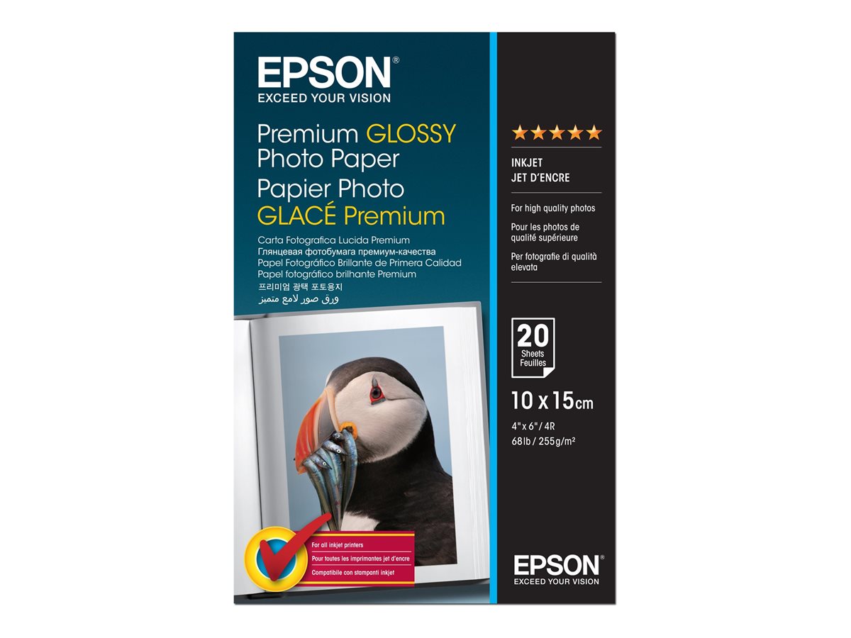 Papel Fotográfico Epson Premium Brilhante 10x15 cm 20 Folhas - Imagem 1