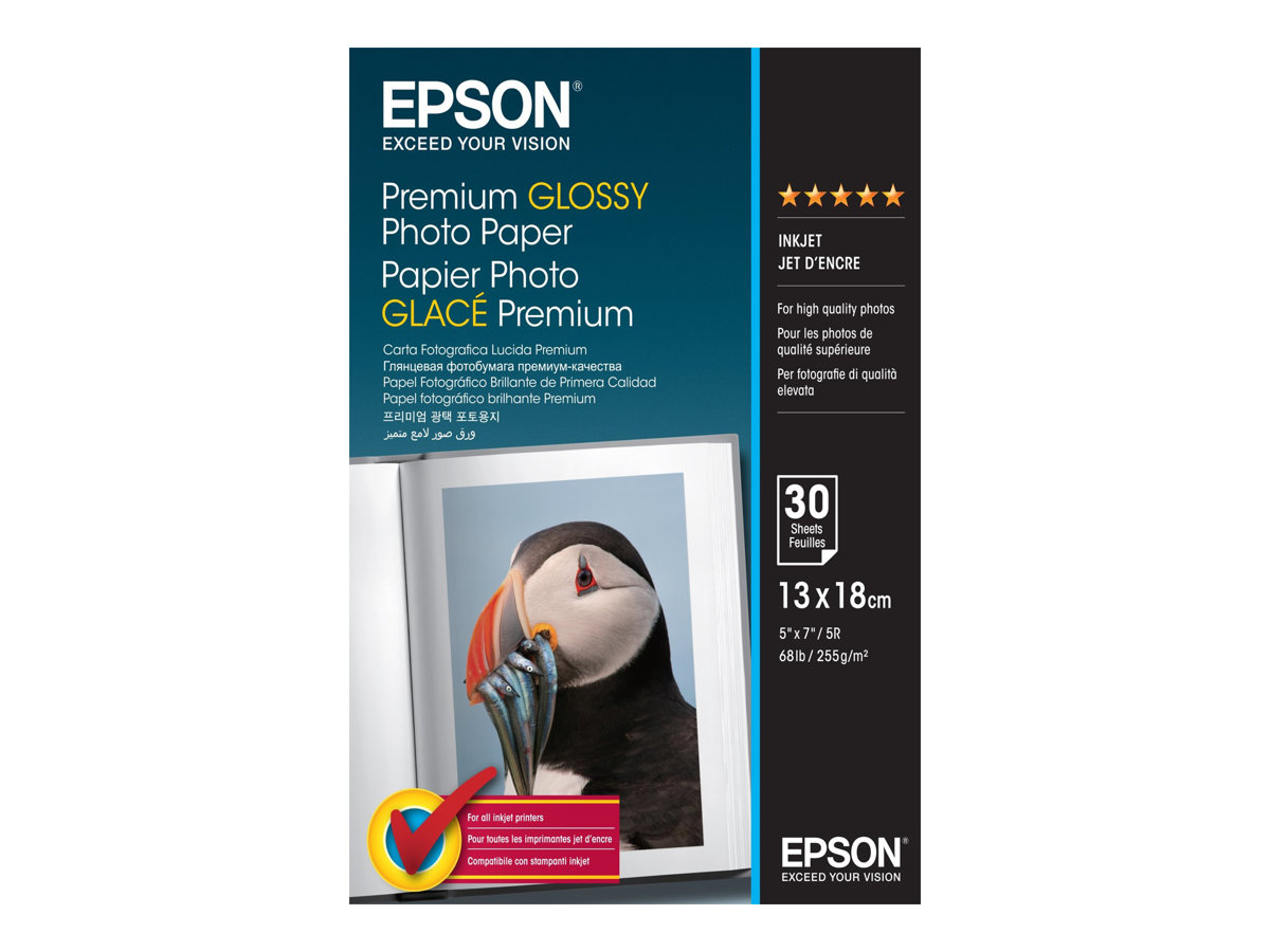 Papel Fotográfico Epson Premium Brilhante 13x18 cm 30 Folhas - Imagem 2