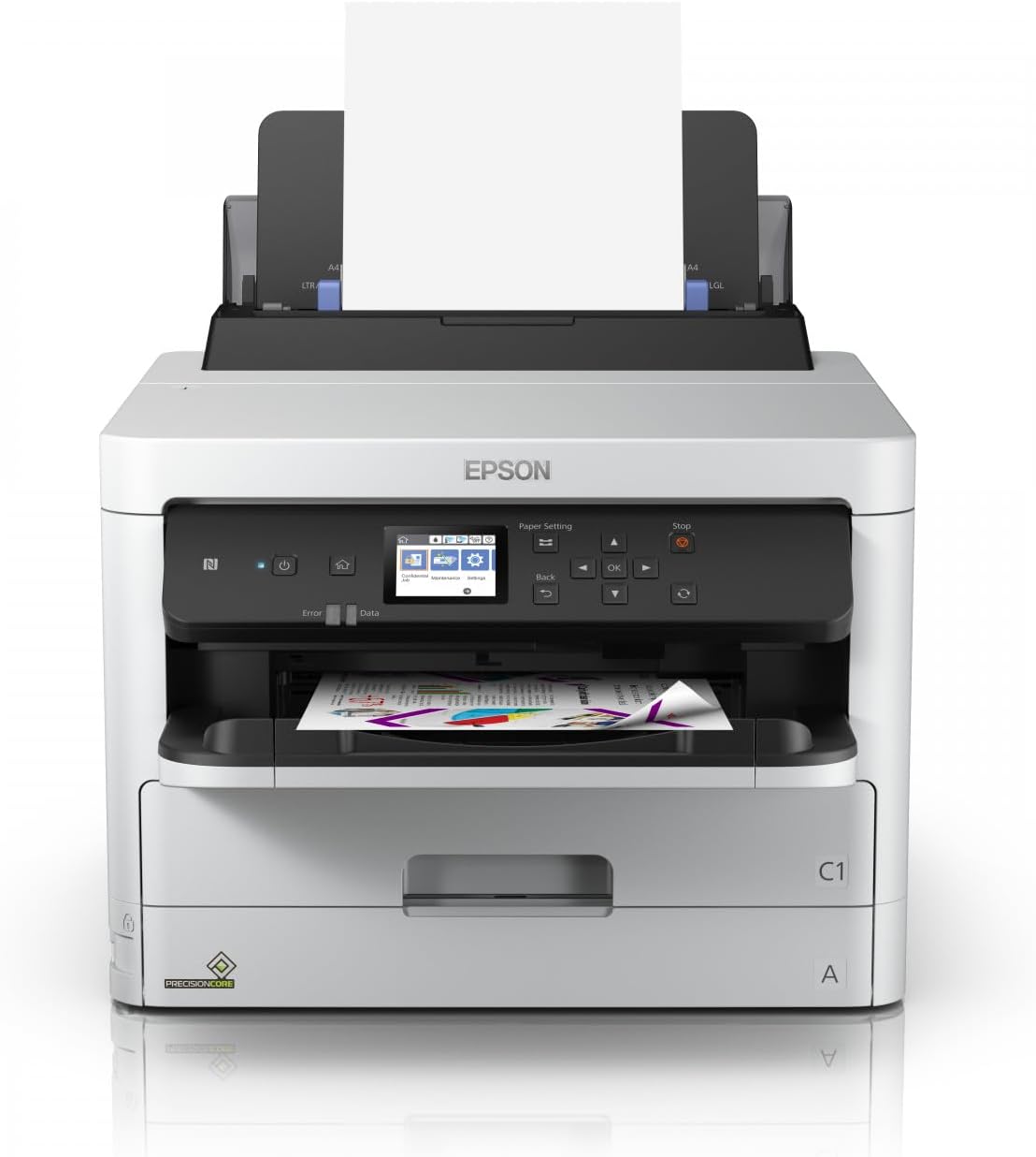Pack de Tinteiro Epson XL Preto Original - Imagem 2