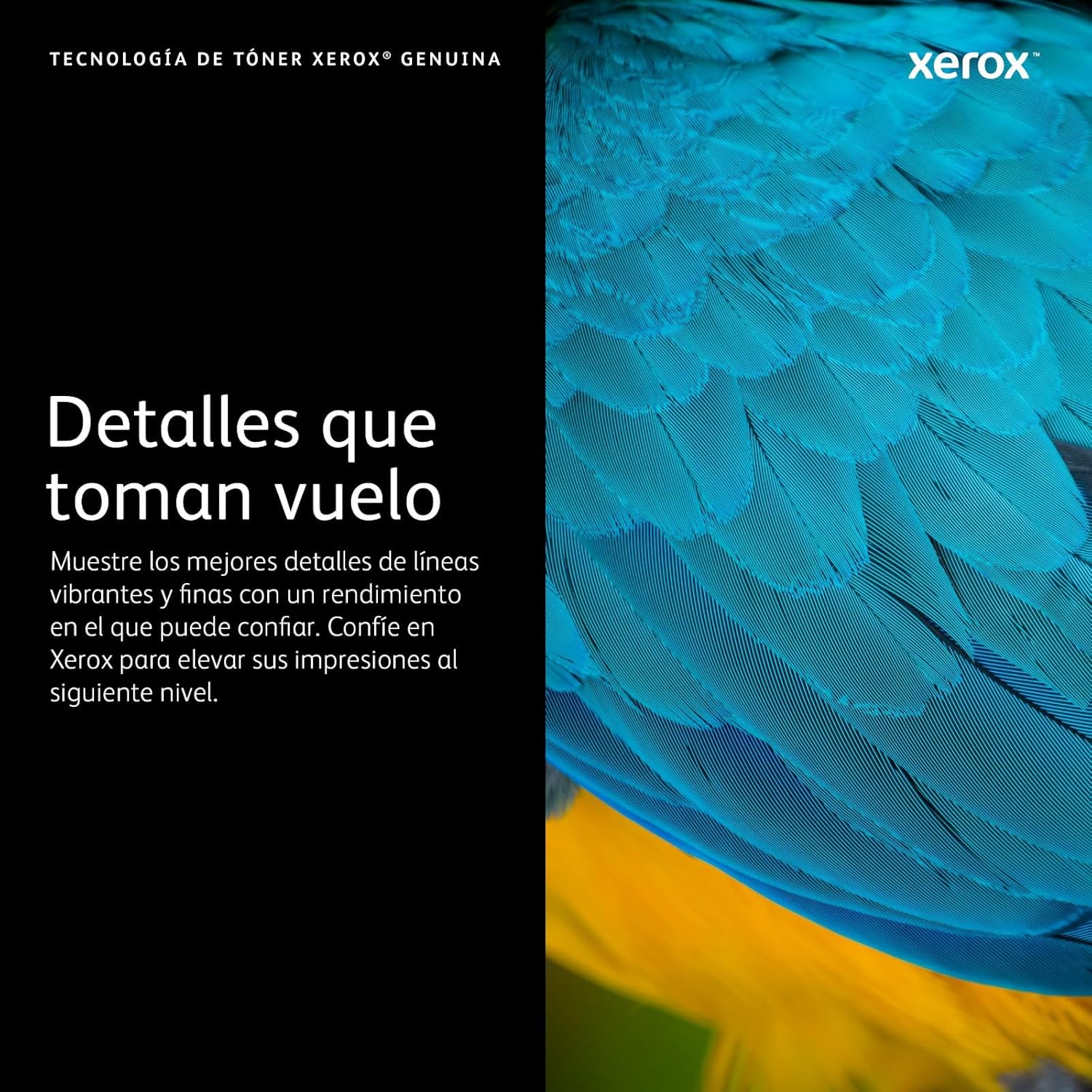Cartucho de Toner Xerox Original Amarelo Alta Capacidade para C325 - Imagem 2
