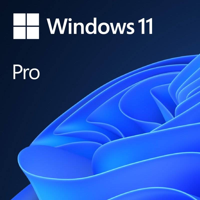 Windows 11 Pro Licença OEM DVD Português