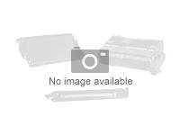 DDIGITAL THERMAL ROLL 57X40X11 (PACK OF 10 UNITS)