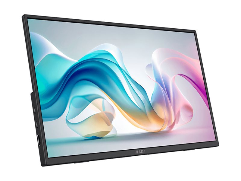 MSI PRO MP165 E6 15.6inch IPS FHD 60Hz 4ms HDMI 2xUSB Type C 2x1W Speaker - Imagem 3