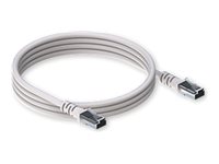 Cabo de Rede Patch Cord Teltonika CAT6 UTP 1.5m RJ45 AWG24 Conector Banhado a Ouro Cinzento - Imagem 1