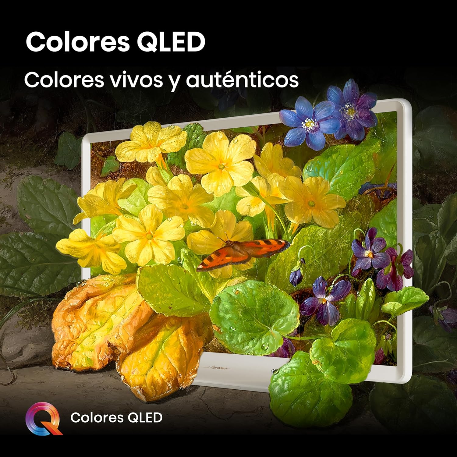 HISENSE Série S5Q Deco TV 32INCH QLED FHD 60 Hz HDMI USB RJ45 - Imagem 6