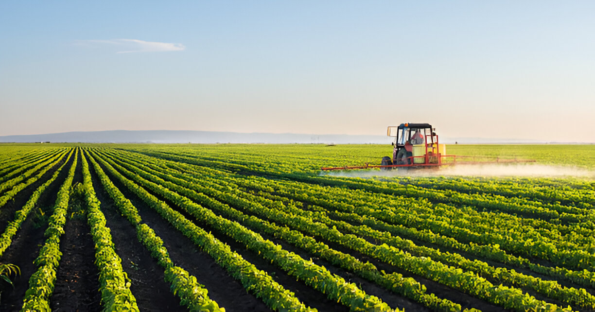 Software de gestão para agroalimentar